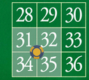 31 - 35