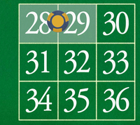 28 - 29