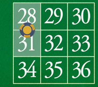 28 - 31