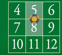 5 - 8