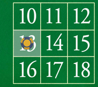 13