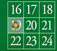 19