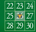 26