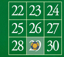 29