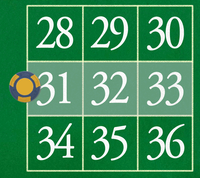31 - 33