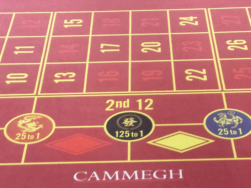 cammegh_01.jpg
