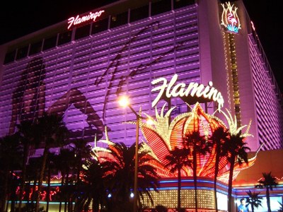 Flamingo
